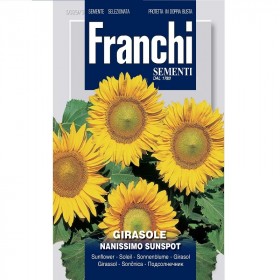 Sementi Franchi Girasole Nanissimo Sunspot gr.3 art. D 329/3