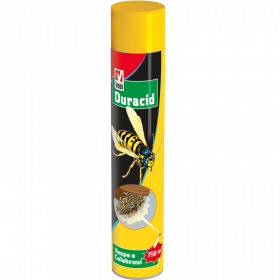 Compo Duracid - Vespe e Calabroni