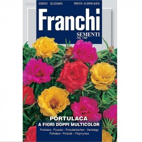 Sementi Franchi Portulaca a fiori doppi multicolori gr. 0,5 art. D345/1
